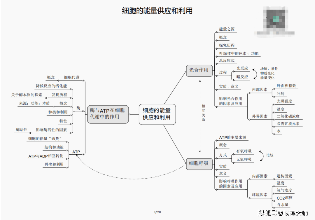 白小姐三肖三期必出一期开奖,白小姐三肖三期必出一期开奖的秘密与探讨