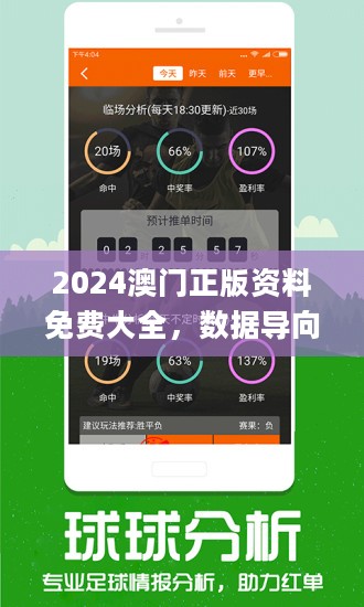 新澳姿料大全正版2024,新澳姿料大全正版2024——警惕违法犯罪风险