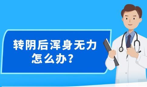 2025年1月8日 第29页