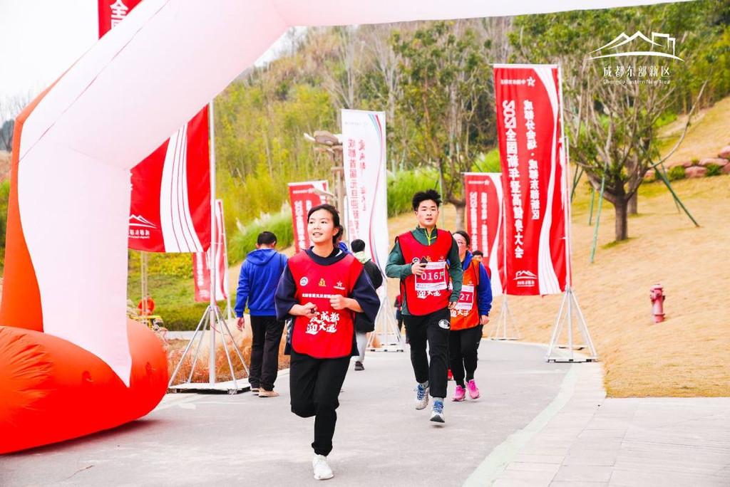 2024香港免费精准资料,探索未来之门，香港免费精准资料的深度解读与启示（2024年展望）