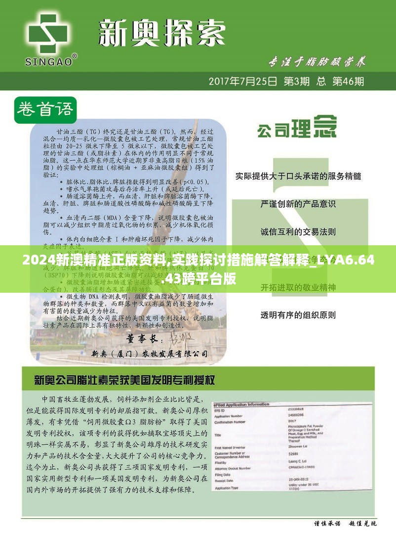 2024新奥精准正版资料,揭秘2024新奥精准正版资料，洞悉其价值与重要性