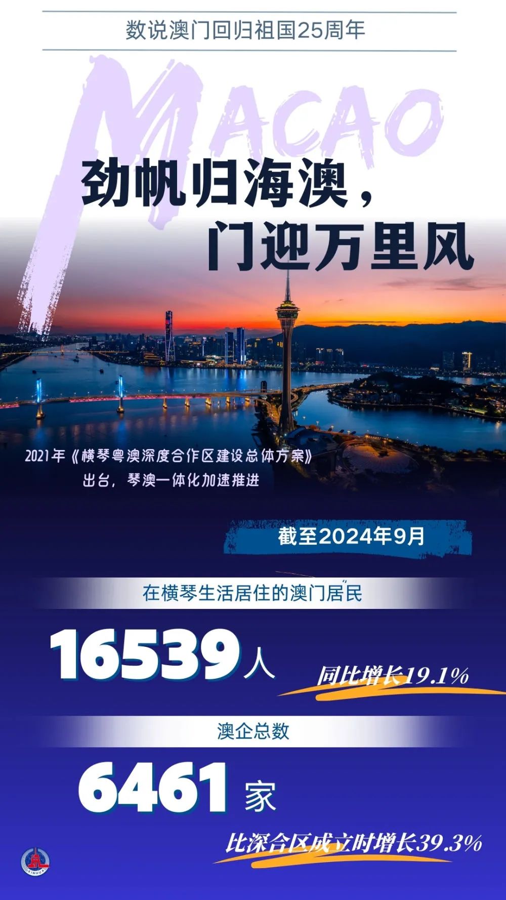 2024年澳门免费公开资料,2024年澳门免费公开资料的展望与探索