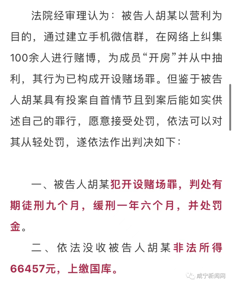 新澳门资料免费长期公开,新澳门资料免费长期公开，揭露违法犯罪问题的重要性