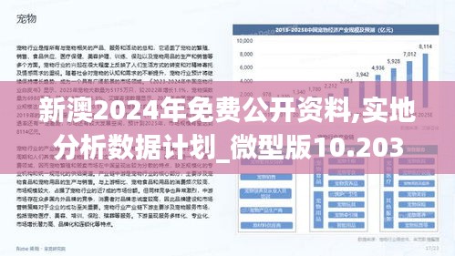 2025新澳精准正版资料,探索未来，解析2025新澳精准正版资料